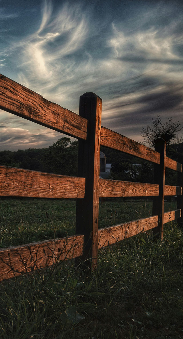 brown wooden fence